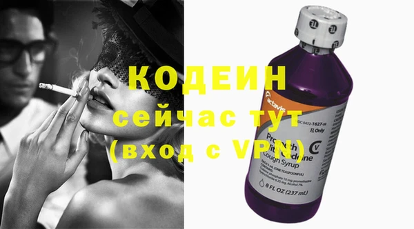 стаф Гусев
