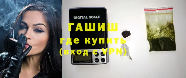 стаф Гусев