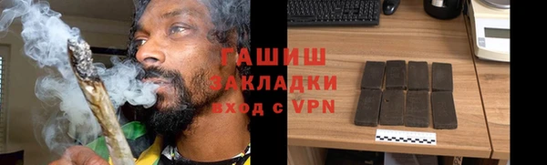 стаф Гусев