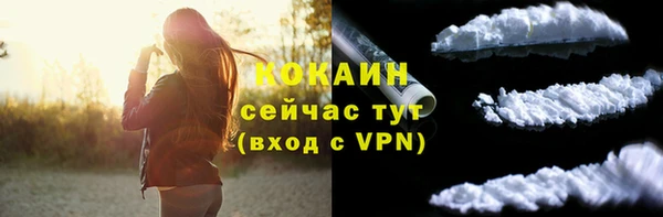 стаф Гусев