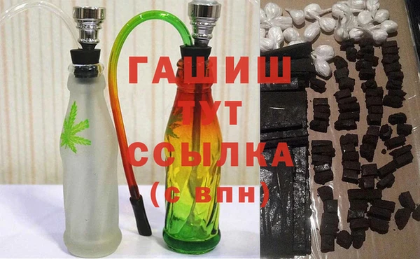 стаф Гусев
