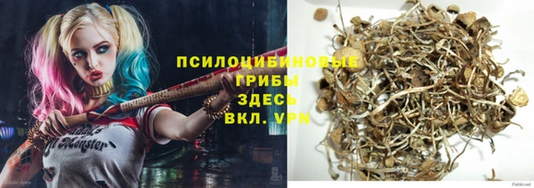 мдма Гусиноозёрск