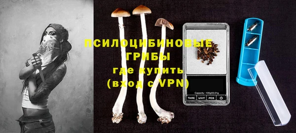 mdpv Великий Новгород
