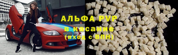 стаф Гусев