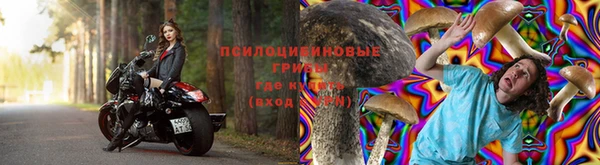 стаф Гусев