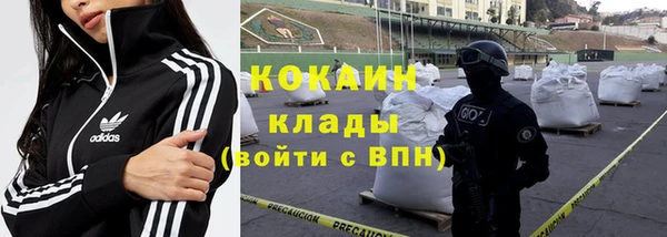 стаф Братск