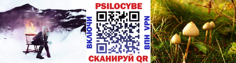 Галлюциногенные грибы Magic Shrooms  Жирновск 